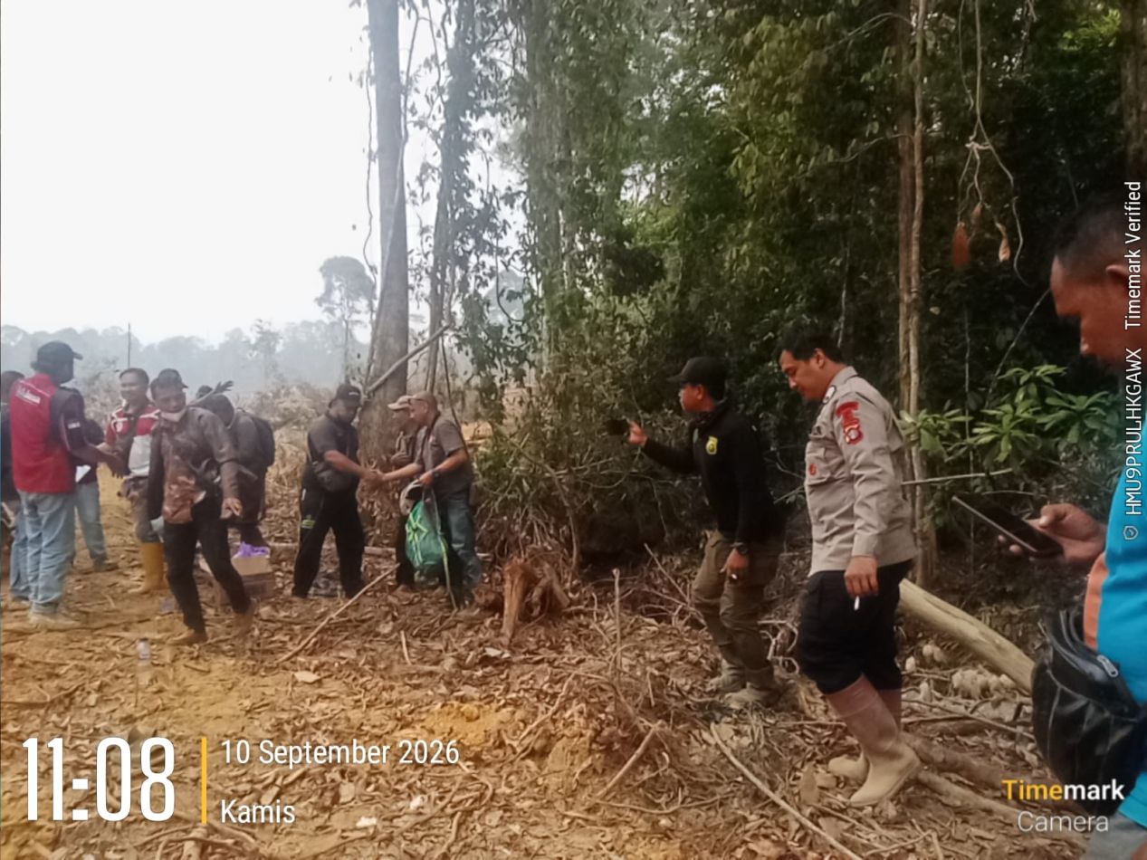 Pemeriksaan Dari Tim Perusahaan PT Sepalar Dan Pemilik Tanah Di wilayah Sungai Mensoring  Tengah ,Anak Barioi Desa Pendreh , Ada  apa, ??